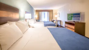 Holiday Inn Express Wichita South by IHG - Chambre