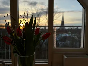 Hotel Prinz - Vue de la chambre