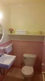 Roosevelt Inn of Hyde Park - Bad