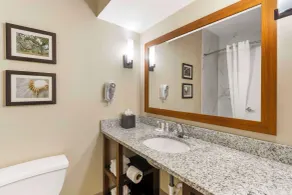 Comfort Suites At the University - Salle de bain