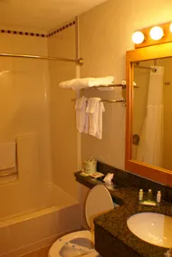 Landmark Motor Inn - Bathroom