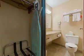Econo Lodge Buckley Bonney Lake - Bathroom