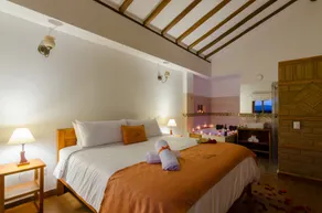Fontana Plaza Hotel - Room
