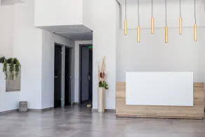 Moscha Hotel - Réception