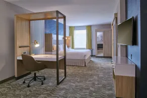 SpringHill Suites by Marriott Detroit Dearborn - Chambre