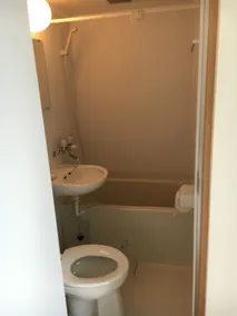 Tenryu Ryokan - Bagno