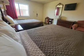 Studio Suites - Room