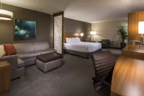 Hyatt Place Boise/Downtown - Chambre