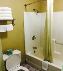 Econo Lodge Mansfield - Badeværelse