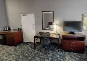 Hilton Garden Inn Detroit/Novi - Chambre
