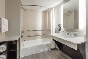 Wingate by Wyndham Dallas Love Field - Salle de bain