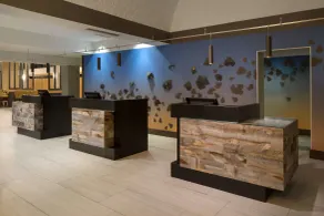 Embassy Suites by Hilton Austin Central - Réception