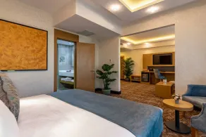 Anemon Kent Diyarbakır Otel - Room