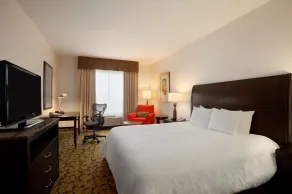 Hilton Garden Inn Edmonton International Airport - Chambre