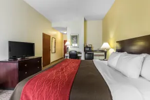 Comfort Inn & Suites Thomson - Rum