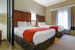 Comfort Suites Fultondale I-65 near I-22 - Chambre