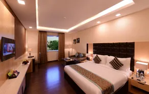 Grand Plaza Jammu - View from room