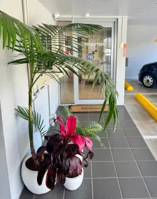 Nambour Heights Motel - Resepsjon