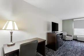 Quality Inn & Suites Niles - Room