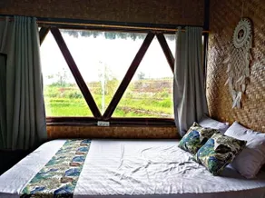 Cianjur Paddies Hostel - Ausblick vom Zimmer