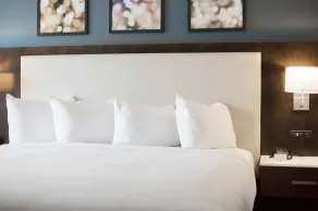 Hilton Garden Inn Minneapolis University Area - Chambre