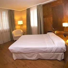 Hotel Picos de Europa - Room