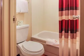 Red Roof Inn Detroit - Troy - Bad