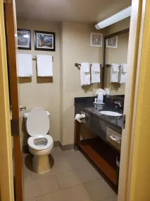 Comfort Inn Mechanicsburg - Harrisburg South - Salle de bain