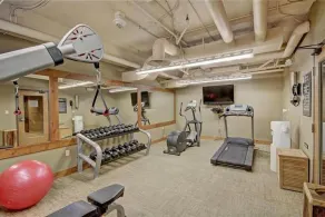 Black Bear 8046 - Salle de remise en forme