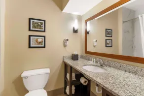 Comfort Suites At the University - Chambre