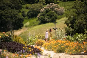 Carmel Valley Ranch, in The Unbound Collection by Hyatt - Piscine