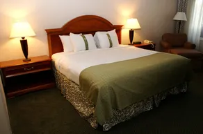 Holiday Inn Great Falls-Convention Center by IHG - Room