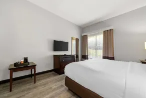 Comfort Suites Milledgeville - Rom