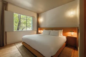 Cholula Condesa Hotel by Lumina - Værelse
