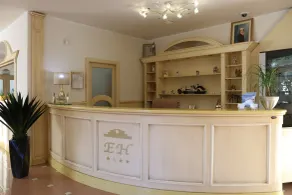 Elia Hotel - Réception