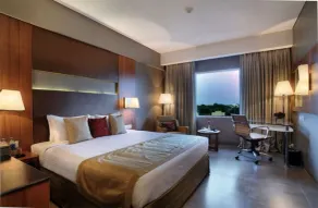 Royal Orchid Central Vadodara - Room