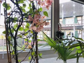 Maison d'hôtes Aux Deux Cigognes - Restaurant