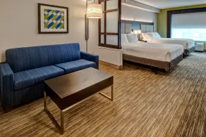 Holiday Inn Express Hotel & Suites Jackson Northeast by IHG - Rum