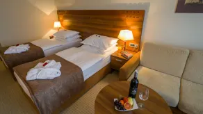 Hotel Trakošćan - Room
