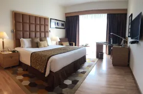 Taj Chandigarh - View from room