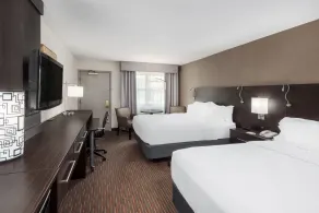 Holiday Inn At Six Flags Saint Louis by IHG - Chambre