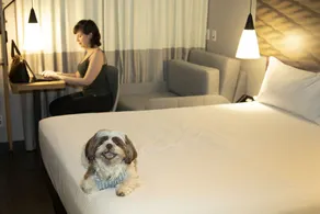 ibis Sao Paulo Tatuape - Room