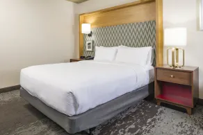 Holiday Inn Salem by IHG - Chambre