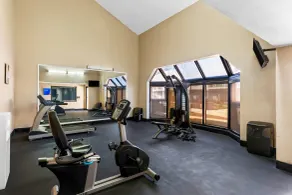 Comfort Inn Roswell-Dunwoody - Salle de remise en forme