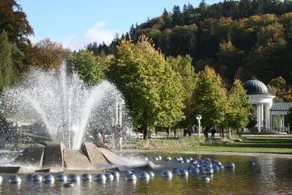 Hotel Na Vodách - Piscine
