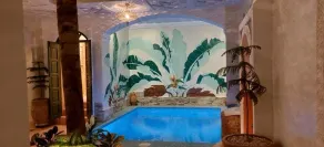 Riad Celia - Piscina