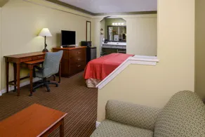 Americas Best Value Inn & Suites Waller/Prairie View - Chambre