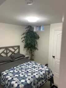 Newly Renovated Two Bedroom Apartment - Camera
