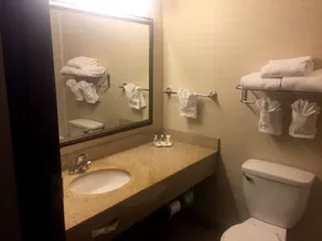Comfort Inn & Suites Harrisonville - Badrum
