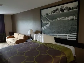 Super 8 by Wyndham Lexington Hamburg Area - Værelse